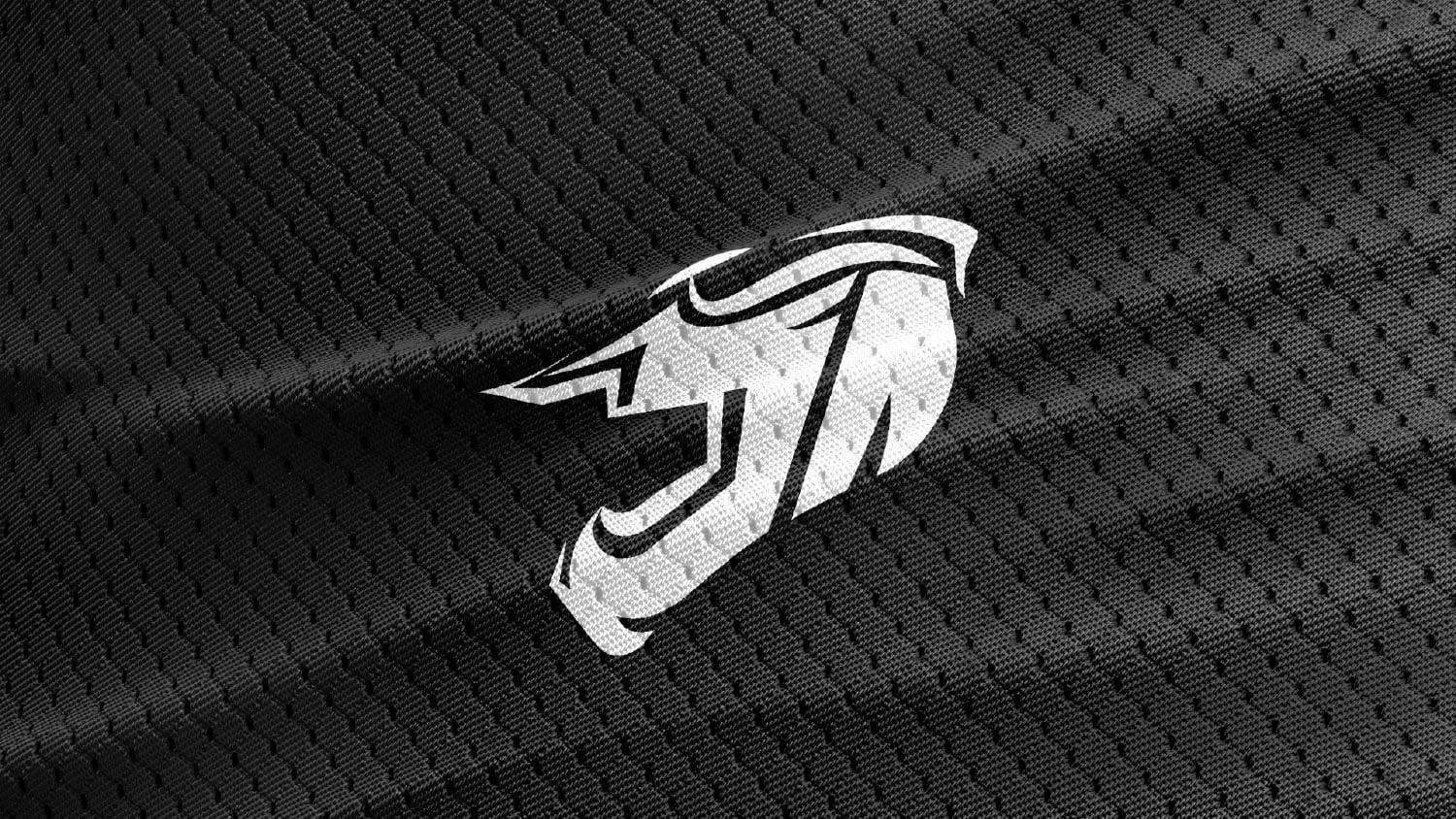 Detalle de la equipación de Jesús Alguacil